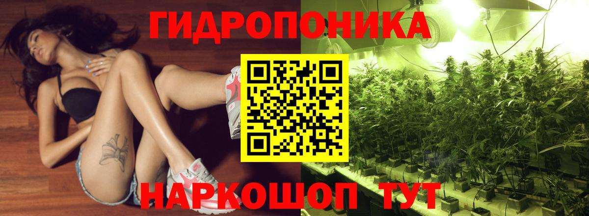 Бошки Шишки семена Карачаевск